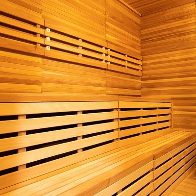 Hemlock Outdoor Dry Sauna With Adjustable Ventilation System Bluetooth Music Tempered Glass Door