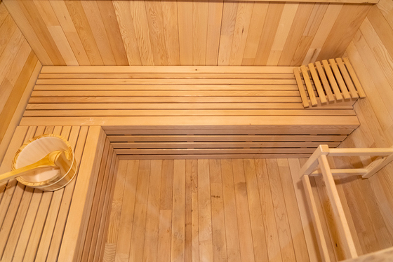 220V Voltage Sauna Steam Ozone Steam Sauna With Ozone Generator Hemlock Red Cedar 0-99 MIN Timer