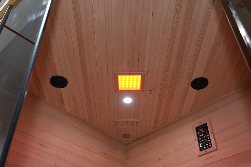 Cheap Wholesale Custom 4 6 Person Indoor Infrared Saunas Suppliers 12